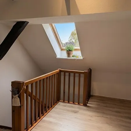 Apartment Ideal Fuer Eine Kurze Oder Laengere Auszeit Am Mochowsee