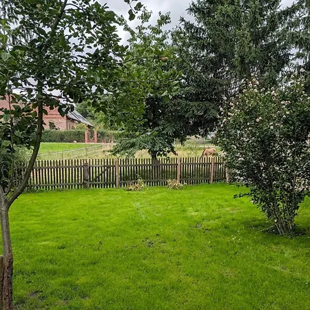 Ideal Fuer Eine Kurze Oder Laengere Auszeit Am Mochowsee Apartment