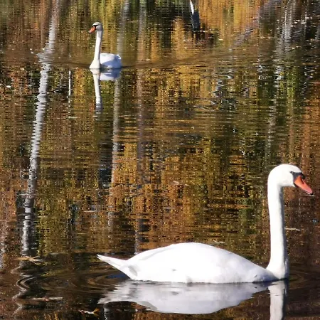 Ideal Fuer Eine Kurze Oder Laengere Auszeit Am Mochowsee *