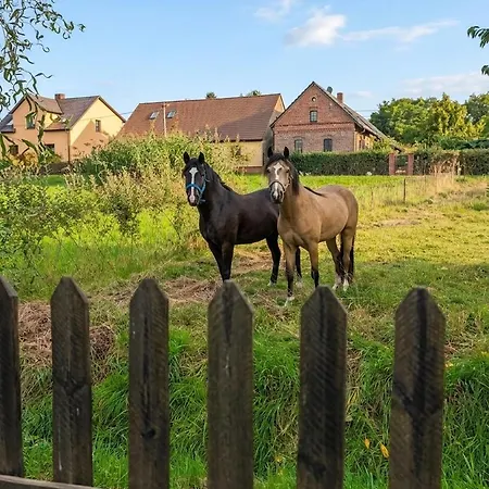 Ideal Fuer Eine Kurze Oder Laengere Auszeit Am Mochowsee Apartment *